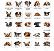 Custom door mat,  Front Doormat 24