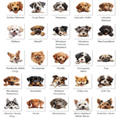 Custom door mat,  Front Doormat 24