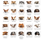 Custom door mat,  Front Doormat 24