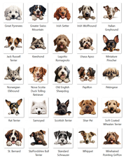 Custom door mat,  Front Doormat 24