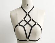 Divinity Harness