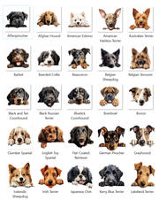 Custom door mat,  Front Doormat 24