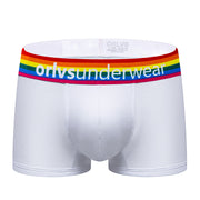 Fashion Rainbow Belt Men's Boxers