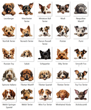 Custom door mat,  Front Doormat 24