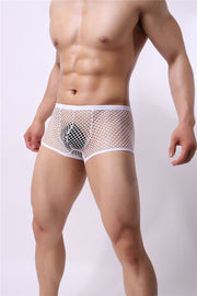 Big Mesh Men's Underwear Mesh Sexy U Convex Full Transparent