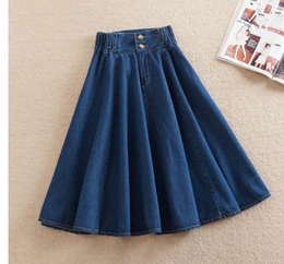 Plus size women's A-line skirt