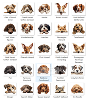 Custom door mat,  Front Doormat 24