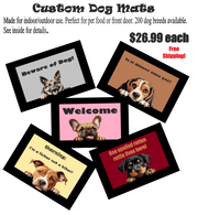 Custom door mat,  Front Doormat 24