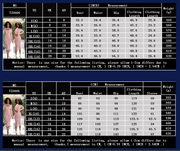 Long Sleeve Net Yarn Hot Rhinestone Dress Nightclub Dress