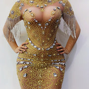 Drag Queen Dress, Drag Queen Gown, Drag Queen Outfit, Drag Queen Clothing, Female Song Catwalk Rhinestone Fringed Mesh Stretch Dress