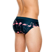 Men's Printed Fashion Swim Briefs