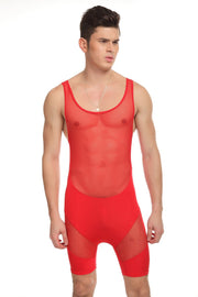 Gay Men's body suit, Men's body suit, Gay Men's mesh sexy body suit, Gay men mesh panty hose, Men's mesh bodysuit